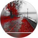 lhbiba oum l hbiba profile picture